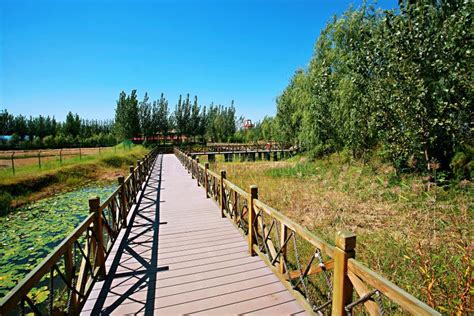 Dongyi Yellow River Wetland Park - Oaza spokoju i dzikiej przyrody!