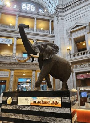 National Museum of Natural History: Prawdziwy Skarb Waszyngtonu dla Entuzjastów Przyrody!