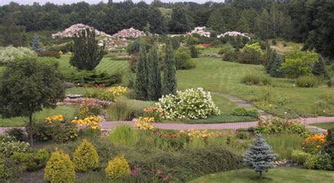 Ogólnochiński Ogród Botaniczny Suqian - Miejsce pełne cudownych kwiatów i spokoju dla duszy!