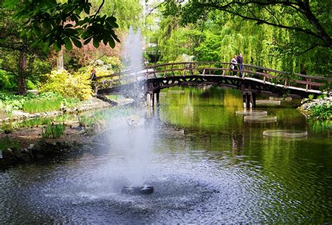 Ogród Botaniczny w Zhanjiang - zielona oaza z fascynującymi gatunkami roślin!