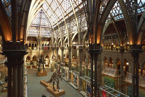 Oxford University Museum of Natural History – Skarbownica Ziemi w Oxfordzie!